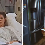 6 Horrific Taylor Parker Case Particulars Too Disturbing For Netflix’s Maternal Intuition