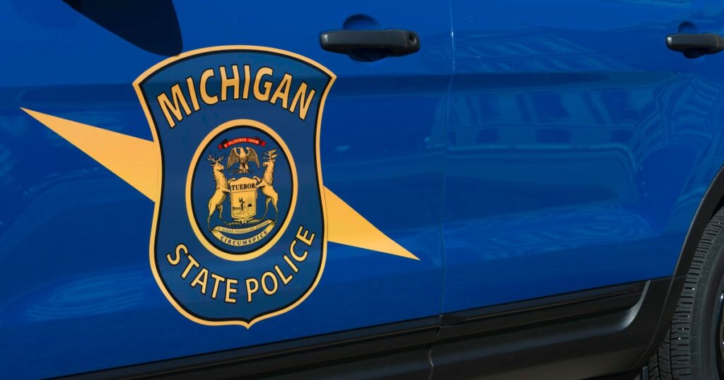 Physique of new child child present in restroom at Electrical Forest competition, Michigan State Police say