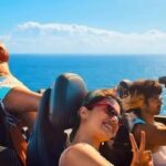 Cocktail 2 field workplace assortment day 10: Shahid, Kriti, Rashmika movie stays regular amid new releases, earns  ₹83 crore
