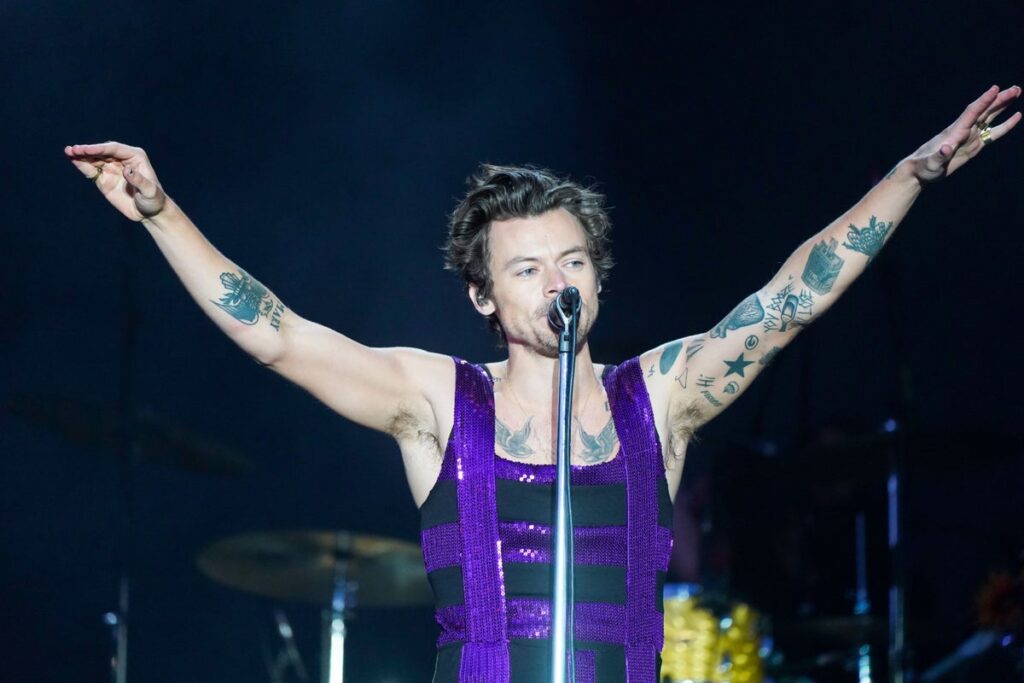Harry Kinds alarms followers after choking on water and falling onstage throughout UK heatwave