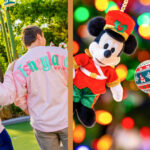 Preview of 2026 Disney Vacation Merchandise, Together with Pastel Assortment & Mickey’s Very Merry Christmas Celebration – WDWNT
