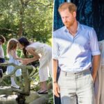 Prince Harry, Meghan Markle and children might scrap UK go to after being denied taxpayer-funded safety