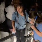 Somebody Additionally Relieved Themselves at a Seconds of Summer season Live performance