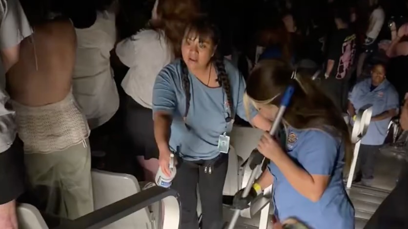 Somebody Additionally Relieved Themselves at a Seconds of Summer season Live performance