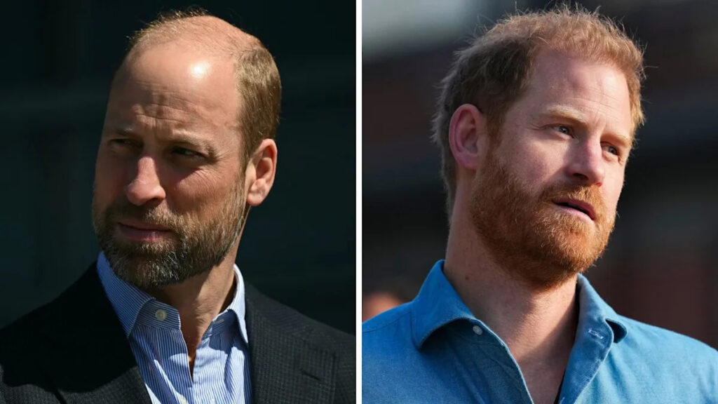 William’s Door Is ‘Bolted Shut’ on Harry as Sources Reveal the Actual Purpose for ‘Resentment’ Towards His Brother