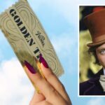 Willy Wonka-Impressed Competitors, That includes The Recreated Voice Of Gene Wilder, Units Netflix Launch Date — Watch A Teaser – TVLine