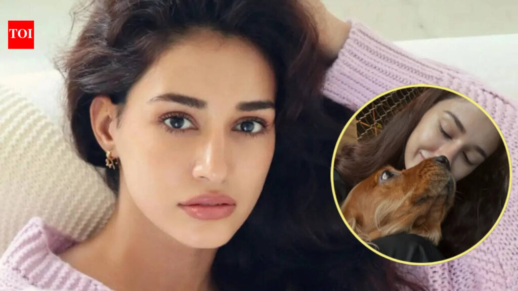 ‘You taught me what love is’: Disha Patani mourns loss of life of pet canine Bella, calls her ‘soulmate’