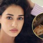 ‘You taught me what love is’: Disha Patani mourns loss of life of pet canine Bella, calls her ‘soulmate’