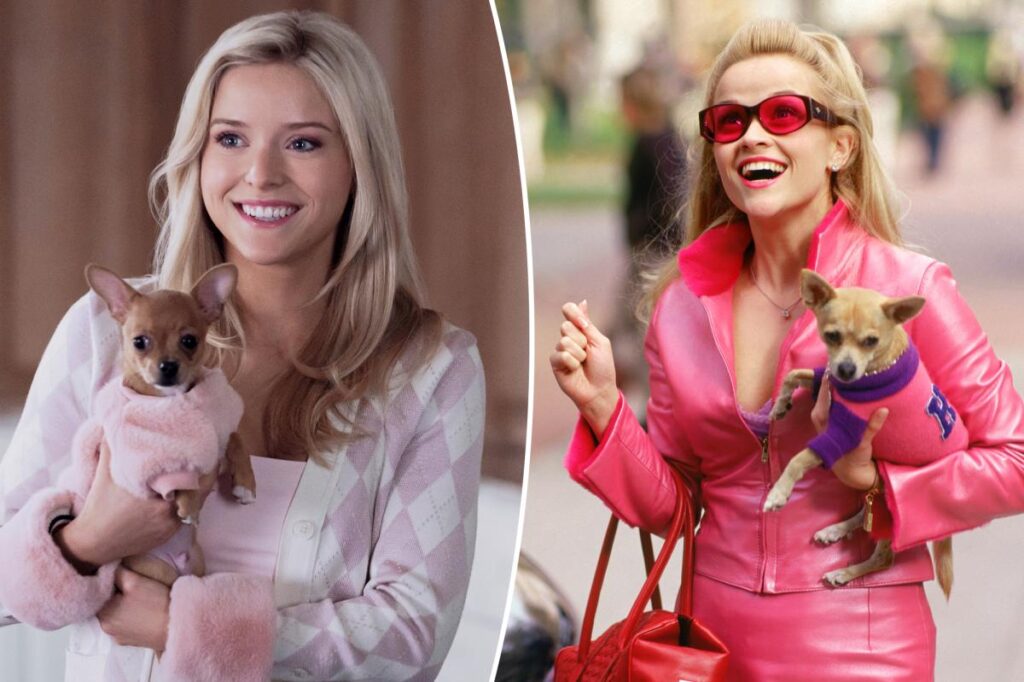 ‘Legally Blonde’ prequel sequence ‘Elle’ is shockingly not dangerous: evaluate