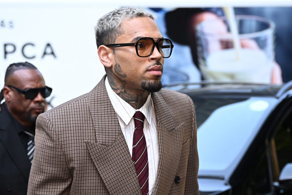 Chris Brown Hit With $13 Million Verdict in Housekeeper Canine Assault Trial