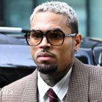 Chris Brown owes housekeeper $13m for disfigurement after canine assault