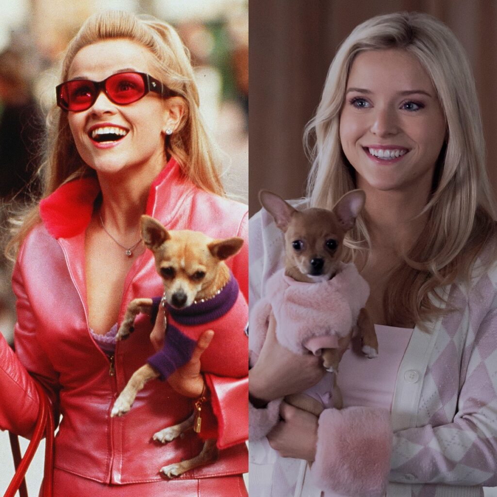 How Elle Woods’ Origin Story in Elle Differs From Legally Blonde