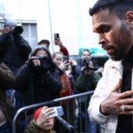 Jury Says Chris Brown Owes Housekeeper $13 Million for Disfigurement in Canine Mauling Assault