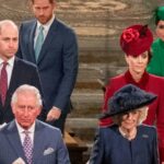 King Charles is taking an enormous gamble – this modifications all the pieces for Prince Harry and Prince William