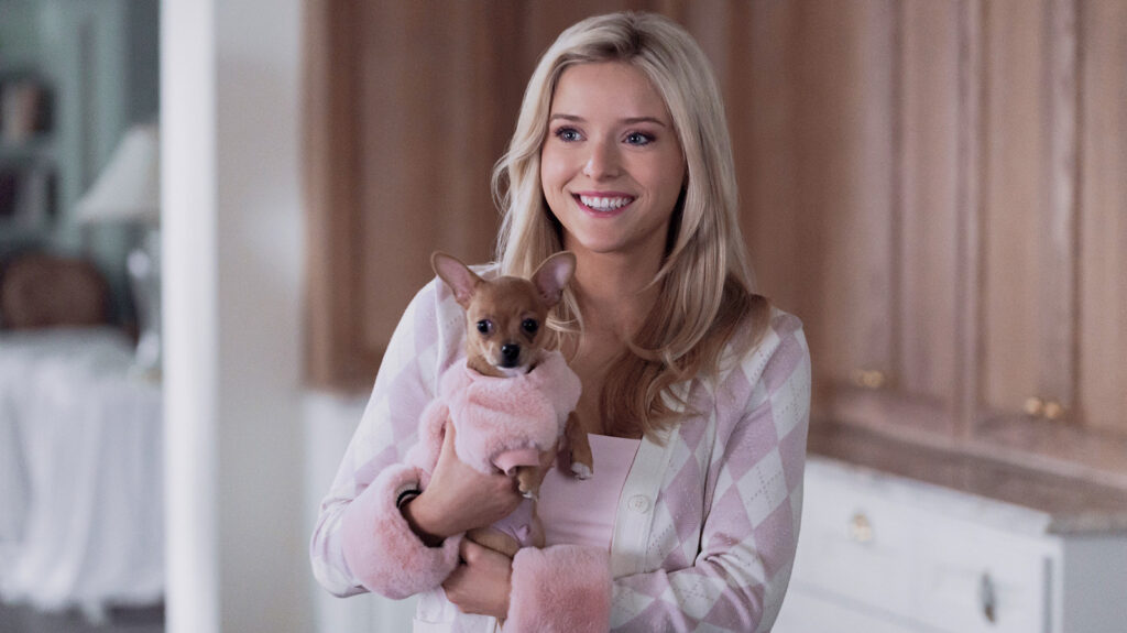 Legally Blonde Prequel Sequence Elle Is ‘Formally Canon’ With The Film, EPs Verify — Here is How They Made Positive ‘Every part Tracked’ – TVLine