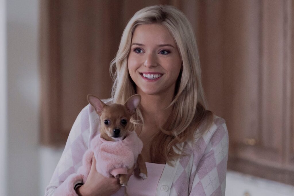 Legally Blonde’s unfunny, nonsensical prequel sequence is a slap within the face to Gen Z