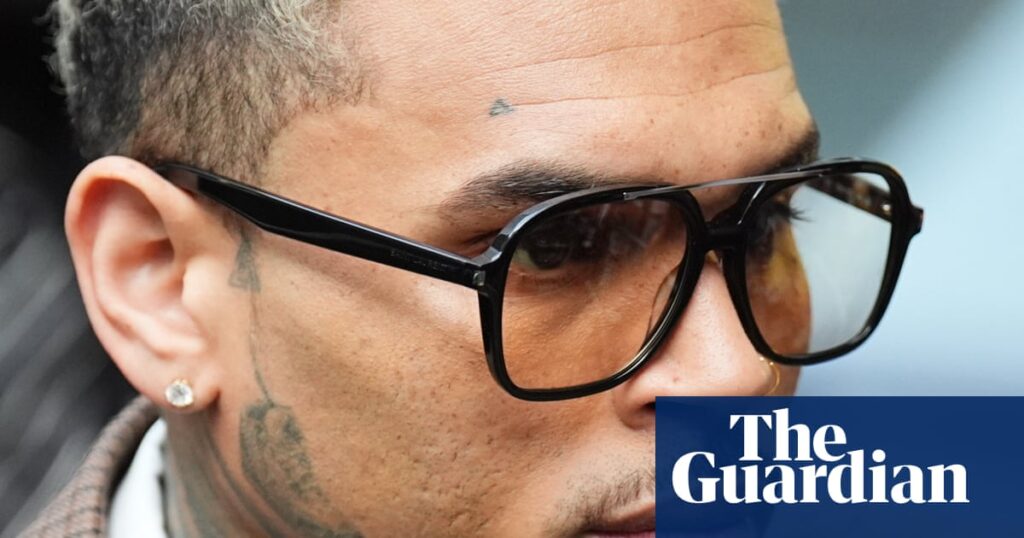 R&B star Chris Brown ordered to pay $13m to housekeeper mauled by his canine