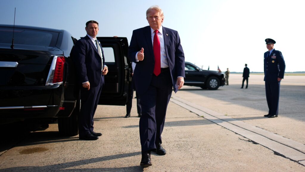 Trump Made Hundreds of thousands From Hollywood Final Yr