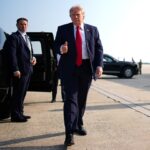 Trump Made Hundreds of thousands From Hollywood Final Yr