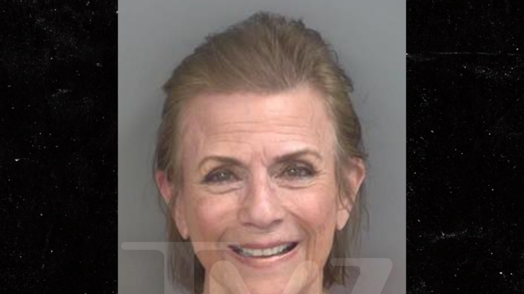 ‘Younger and the Stressed’ Star Colleen Zenk Arrested For DUI